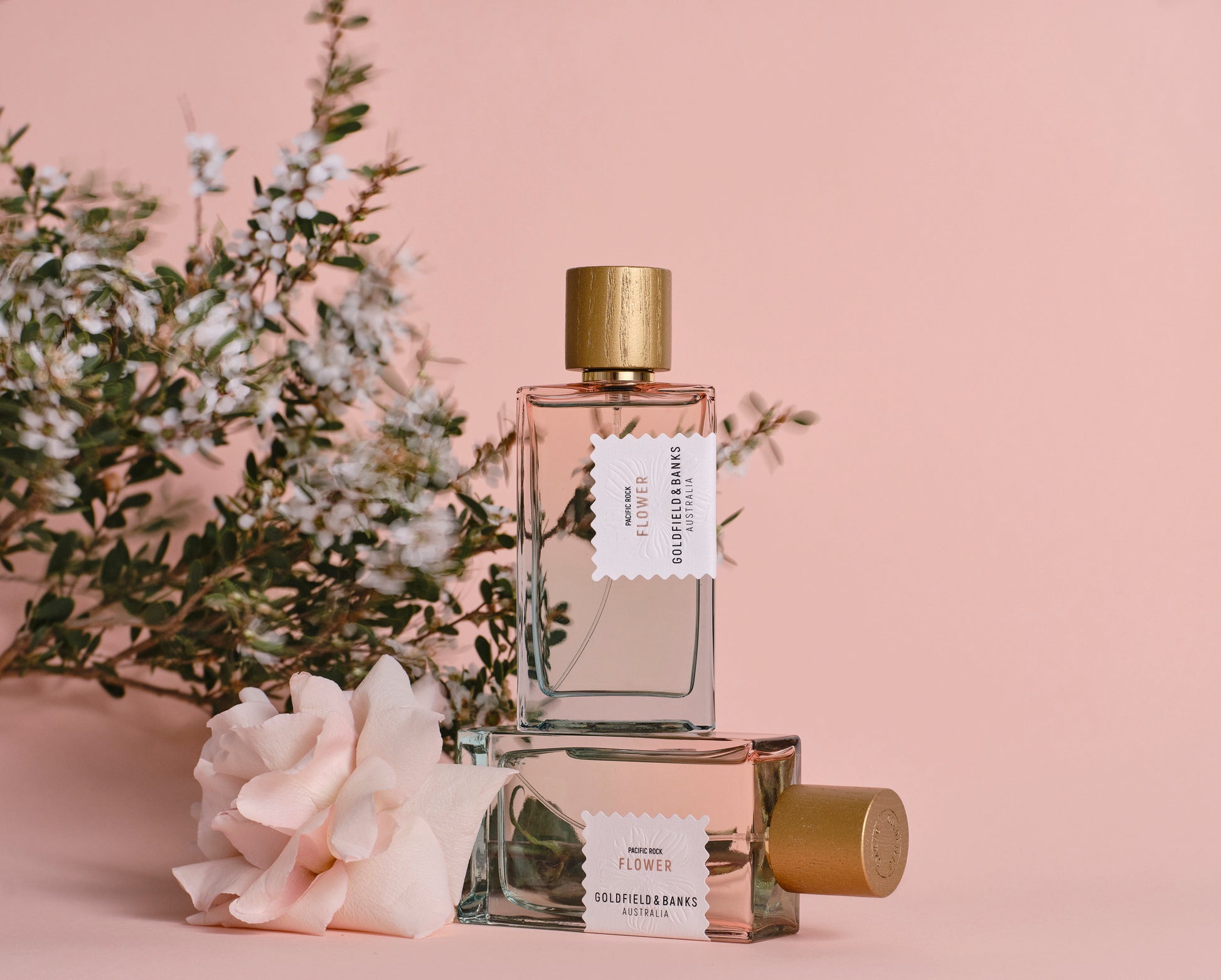 Goldfield & Banks - Pacific Rock Flower - Genderfree