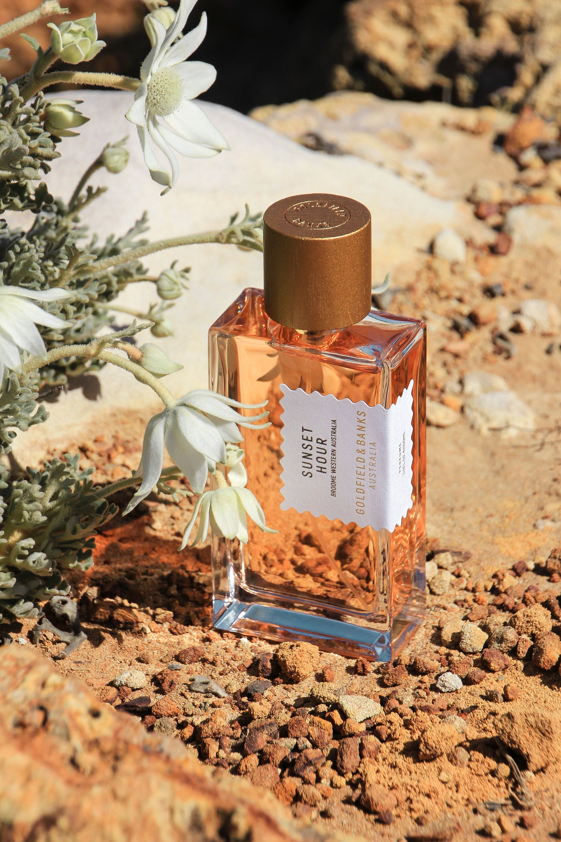 Goldfield & Banks - Sunset Hour - Genderfree