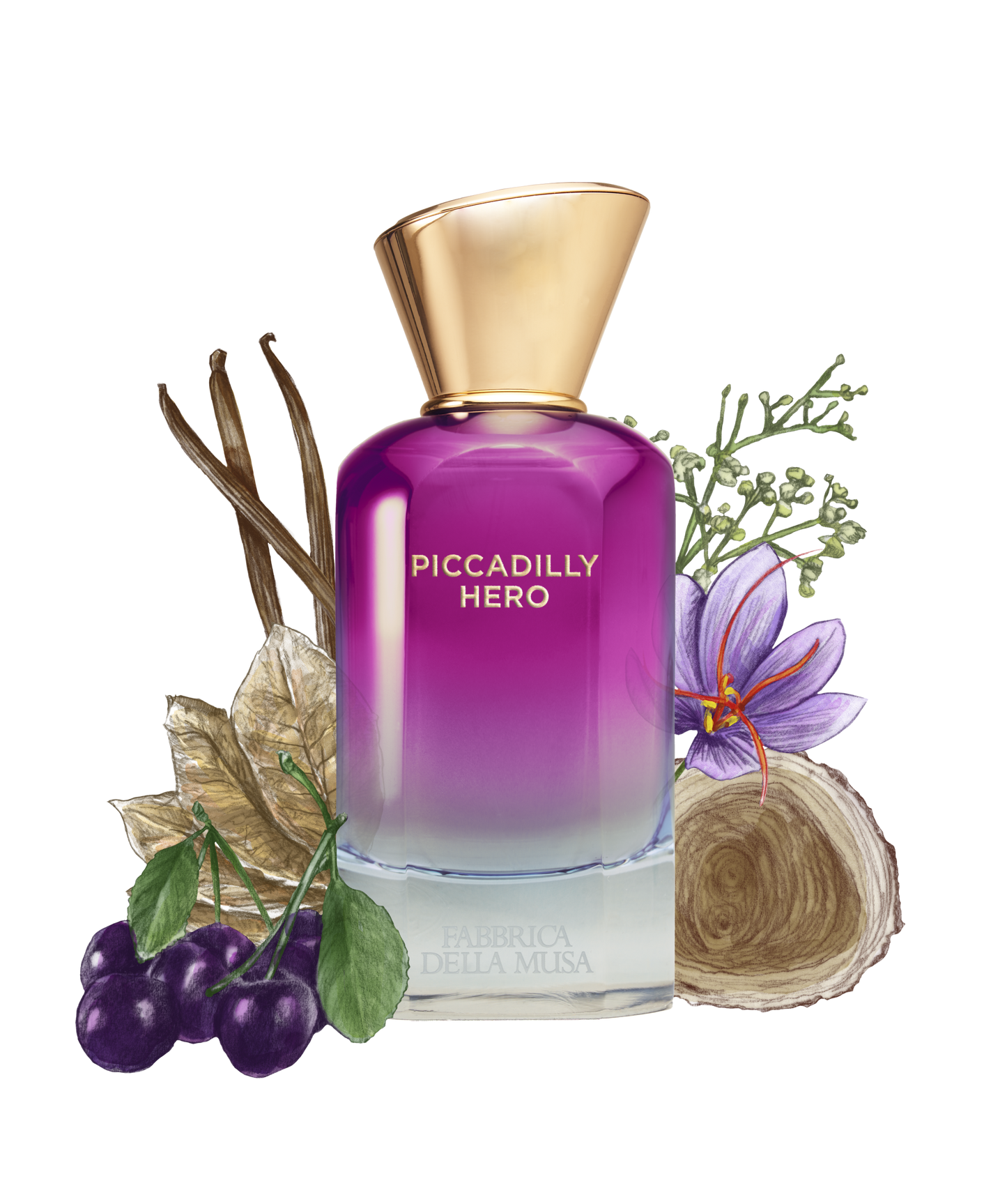 Fabbrica Della Musa - Piccadilly Hero - Genderfree