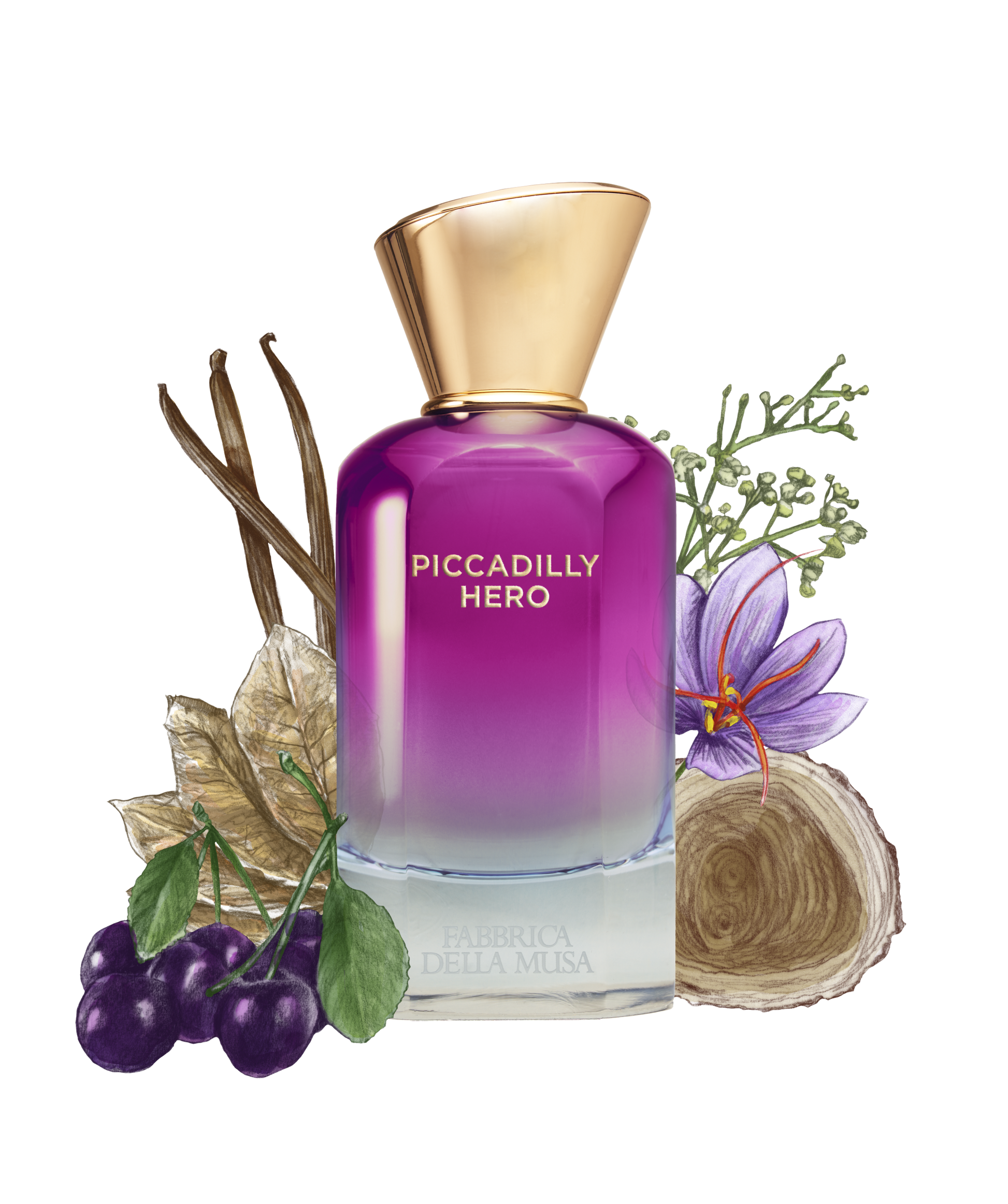 Fabbrica Della Musa - Piccadilly Hero - Genderfree